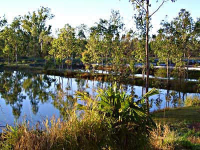 Aquaponics Easy: Commercial aquaponics brisbane